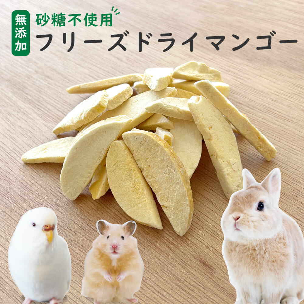 小動物用フリーズドライマンゴー｜napnap公式ショップ