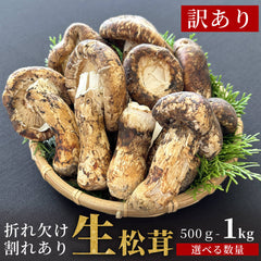 生松茸 訳あり 折れ・欠け・割れあり ホール 中国産  [送料無料]