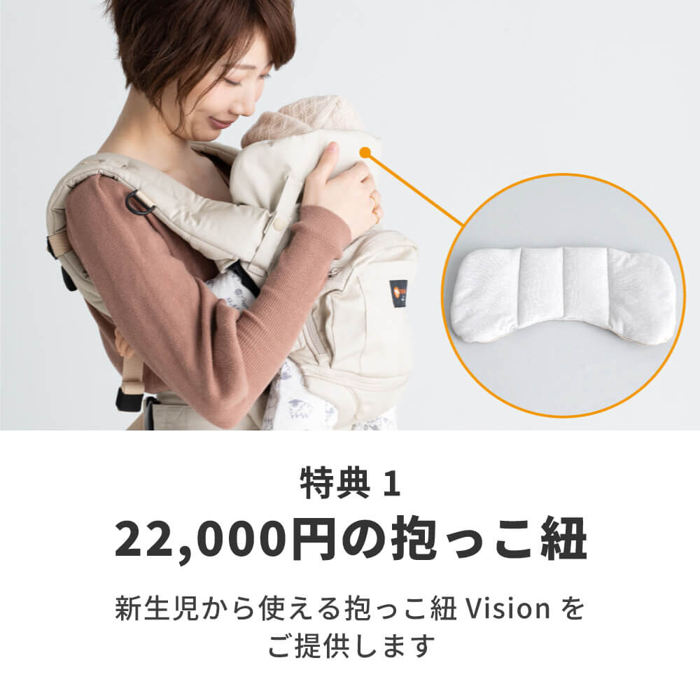 25,300円以上お得！当店限定セット】抱っこ紐Vision・首回りカバー