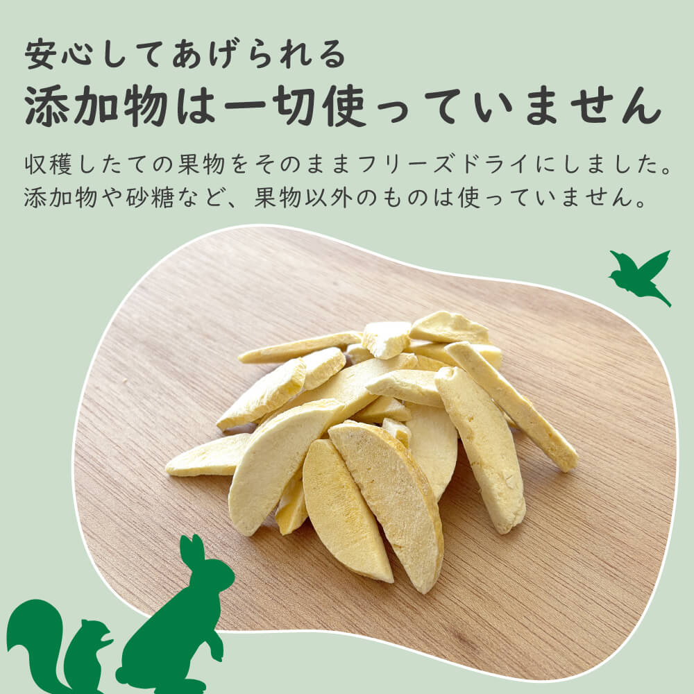 小動物用フリーズドライマンゴー｜napnap公式ショップ
