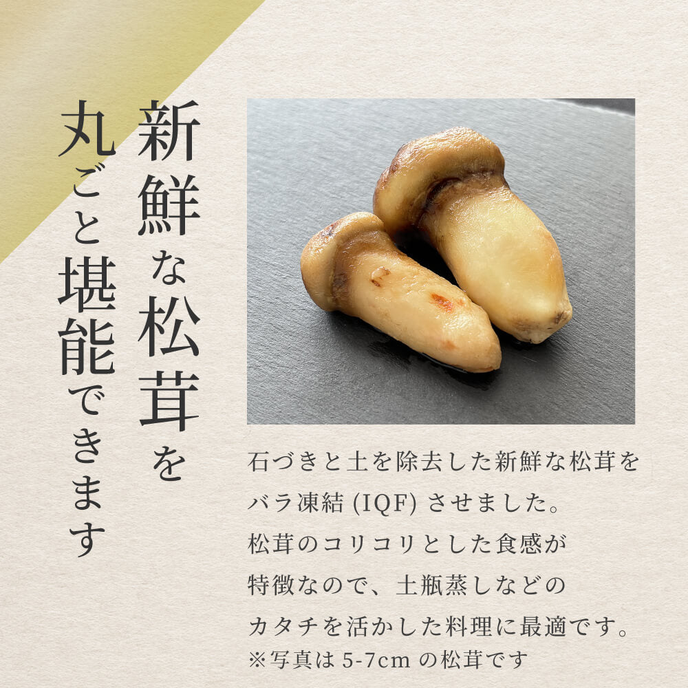 北海道 松茸 250g 訳あり