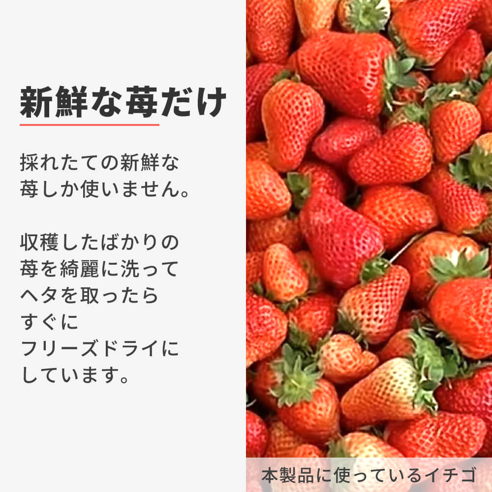 フリーズドライ いちご ホール｜napnap公式ショップ
