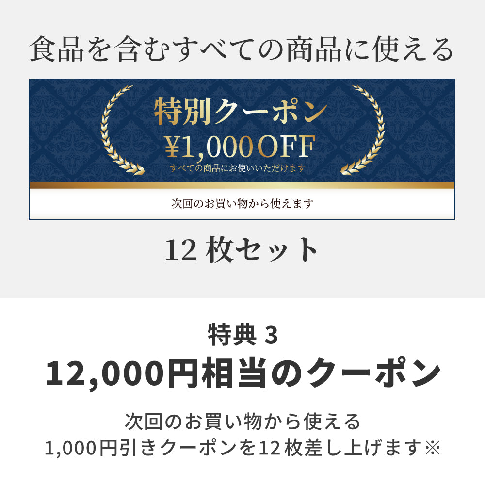 期間限定【12,100円以上お得！BASICコース】抱っこ紐BASIC+よだれカバー+12,000円相当のクーポン+10%OFFクーポン+2年保証