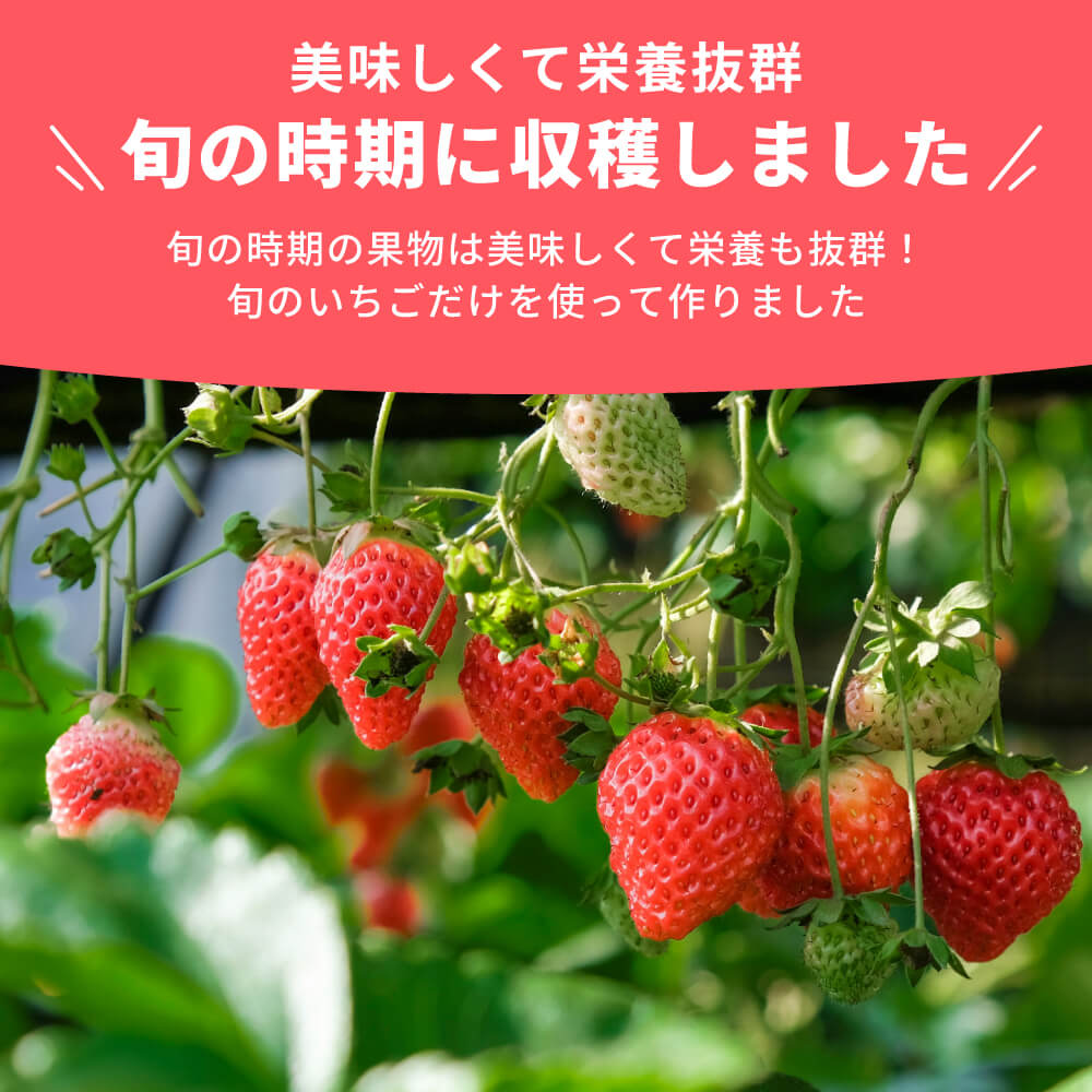 まんまフルーツ いちご フリーズドライフルーツ｜napnap公式ショップ