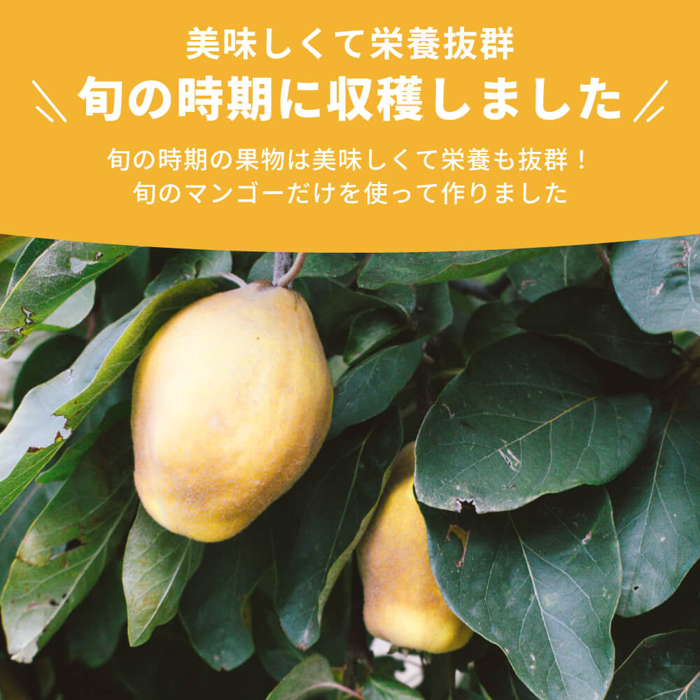 まんまフルーツ マンゴー フリーズドライフルーツ｜napnap公式ショップ