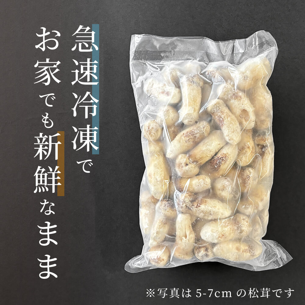 松茸 生松茸 冷凍 250g 1000g 1kg 5-7cm 7-9cmサイズ ホール 洗浄済み そのまま使える 中国産 [送料無料]