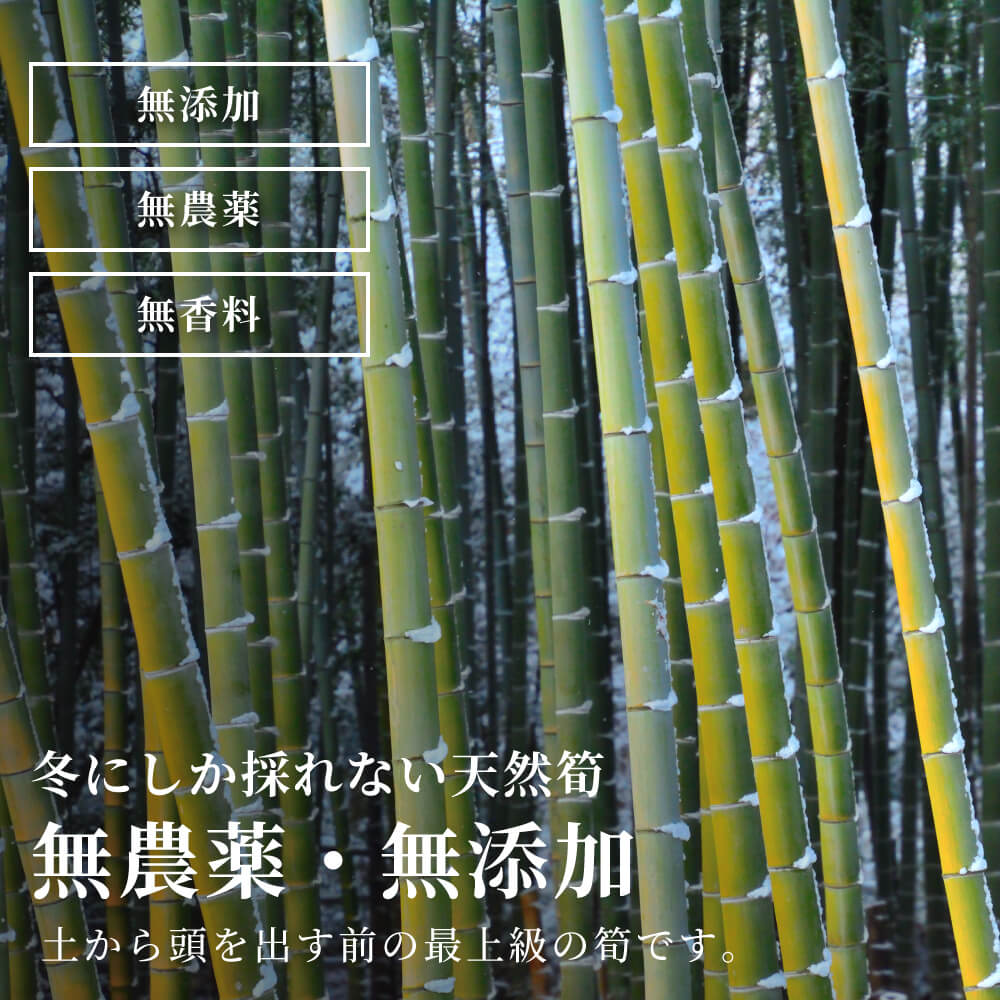 高級冬たけのこ｜napnap公式ショップ