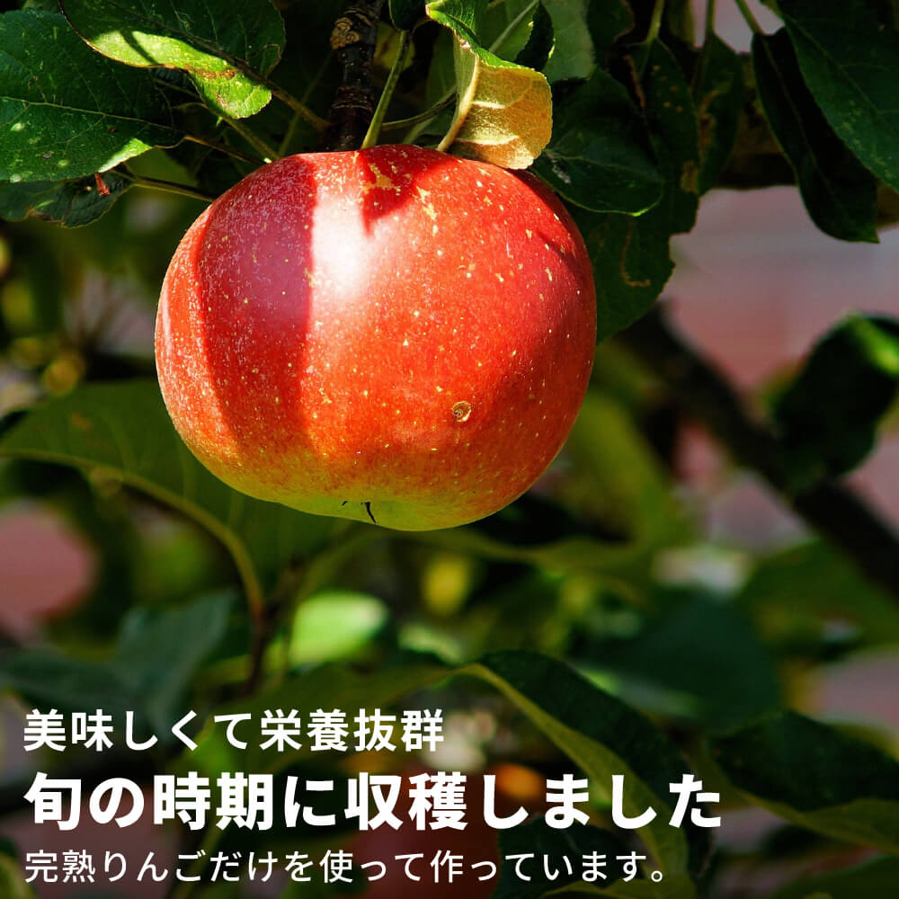 フリーズドライ りんご ダイスカット｜napnap公式ショップ
