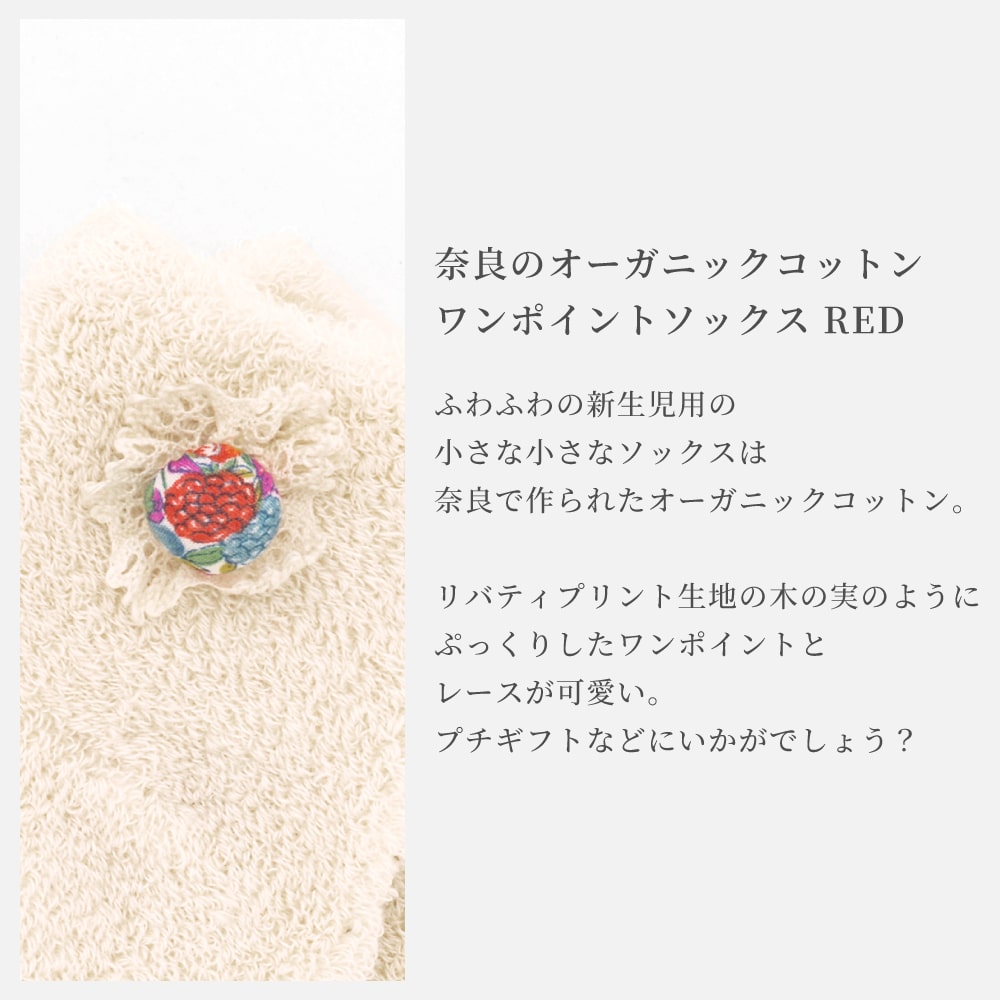 アスレティックリハビリテーション等7冊 アスレティックリハビリテーション | 株式会社文光堂