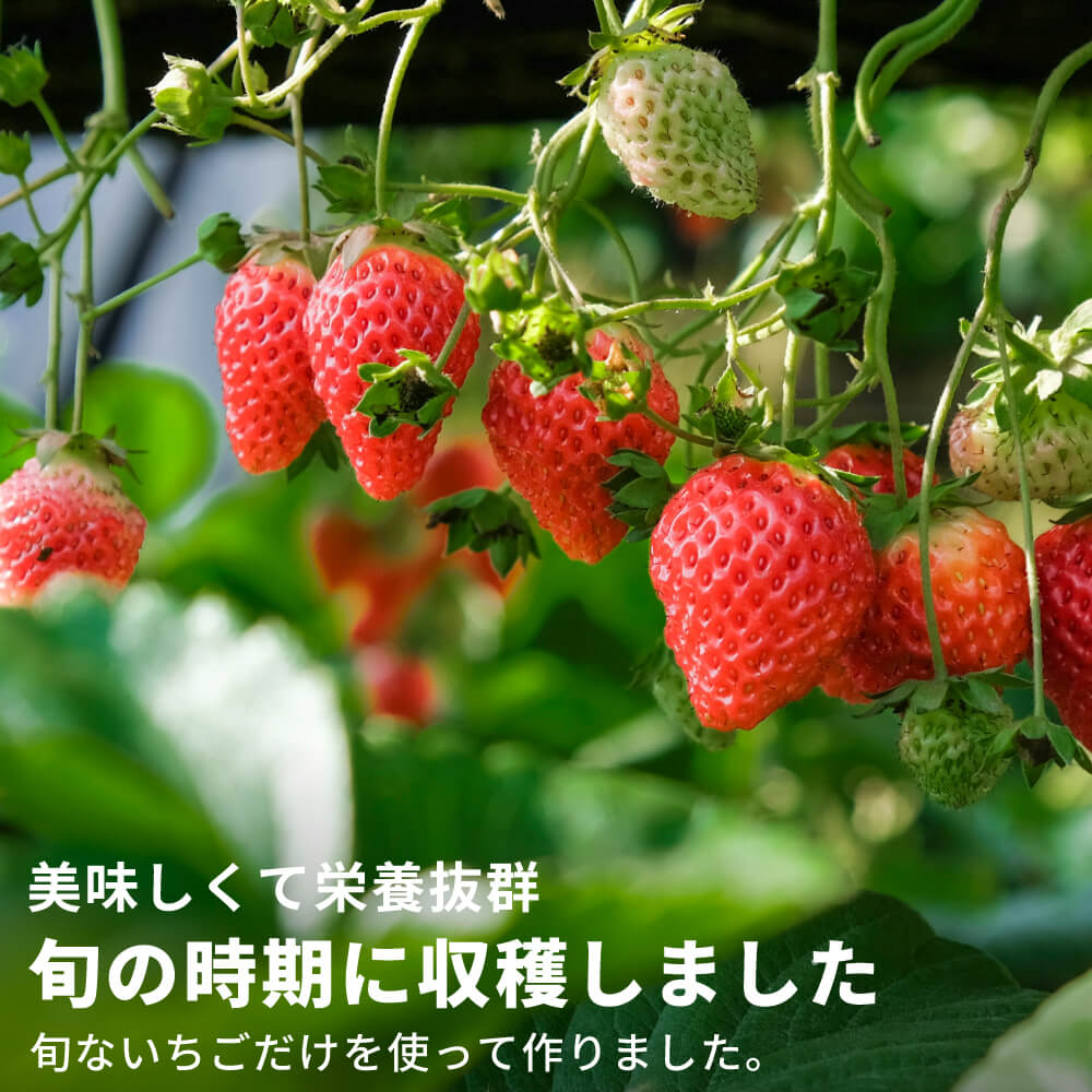 フリーズドライ いちご ホール｜napnap公式ショップ