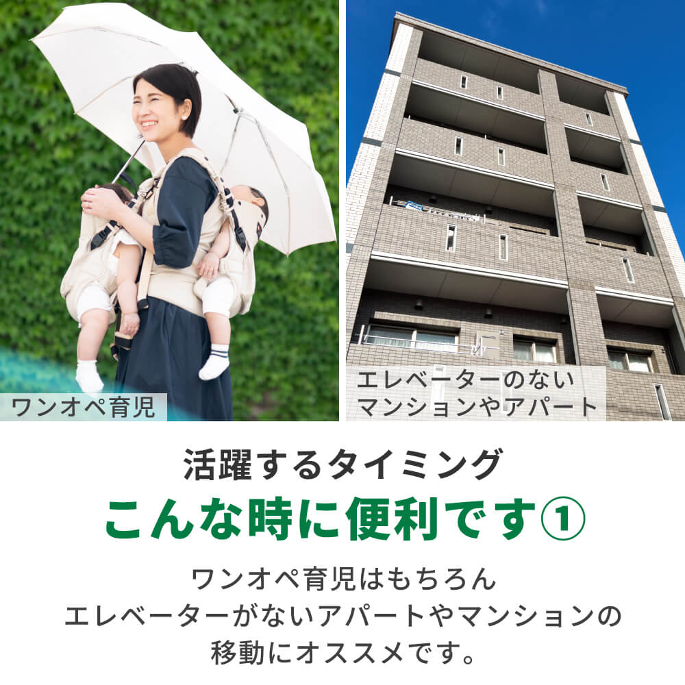 キッズデザイン賞・子育て支援大賞 受賞】抱っこひも ふたご
